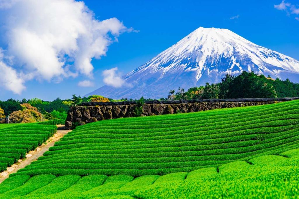 適塩生活のすすめ☯身体の土台を作るのはお塩