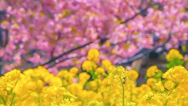 春に向けてカラダもシフトチェンジ!〈親子養生☯春編〉